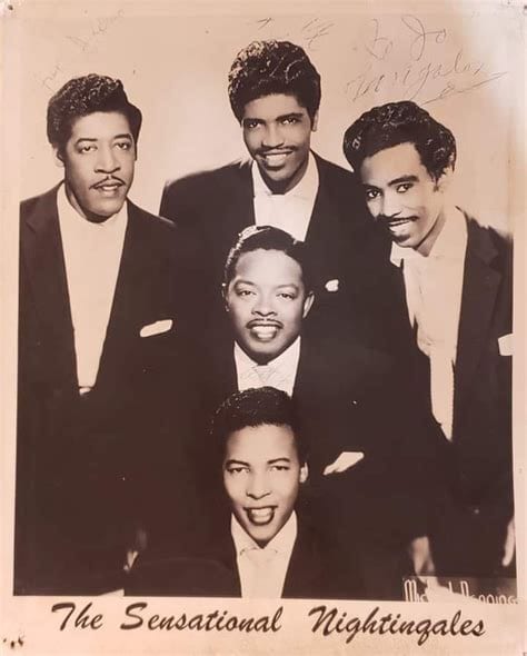 Sensational Nightingales